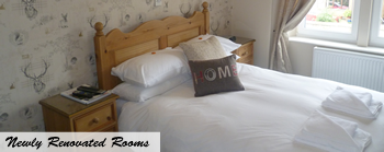 Newly Renovated Rooms